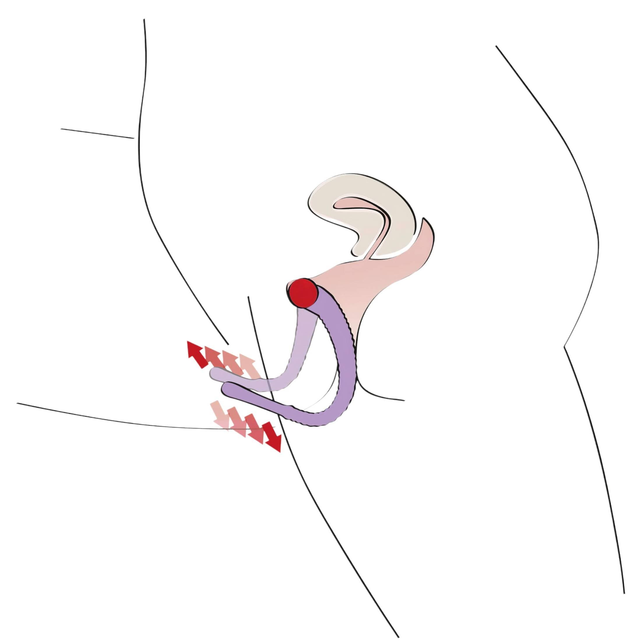 You2Toys - Intimate Spreader hüvely széthúzó #5