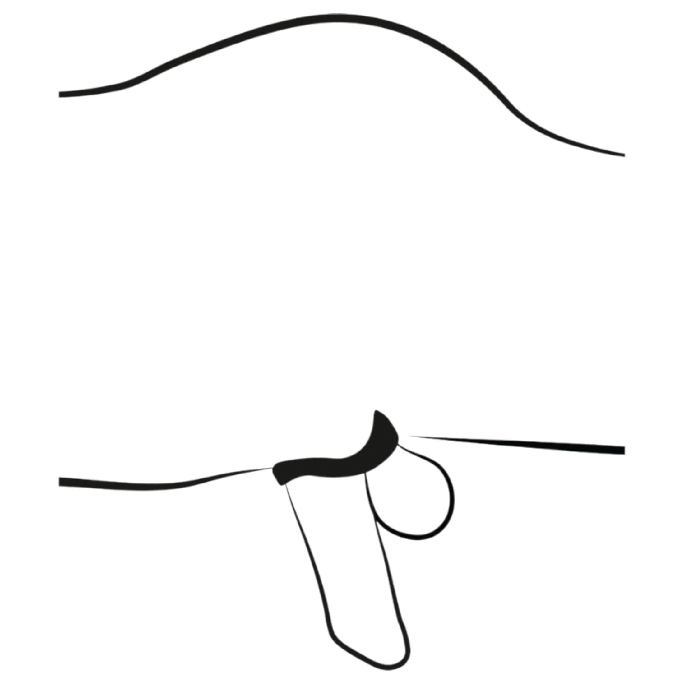 You2Toys - péniszketrec péniszpluggal #9